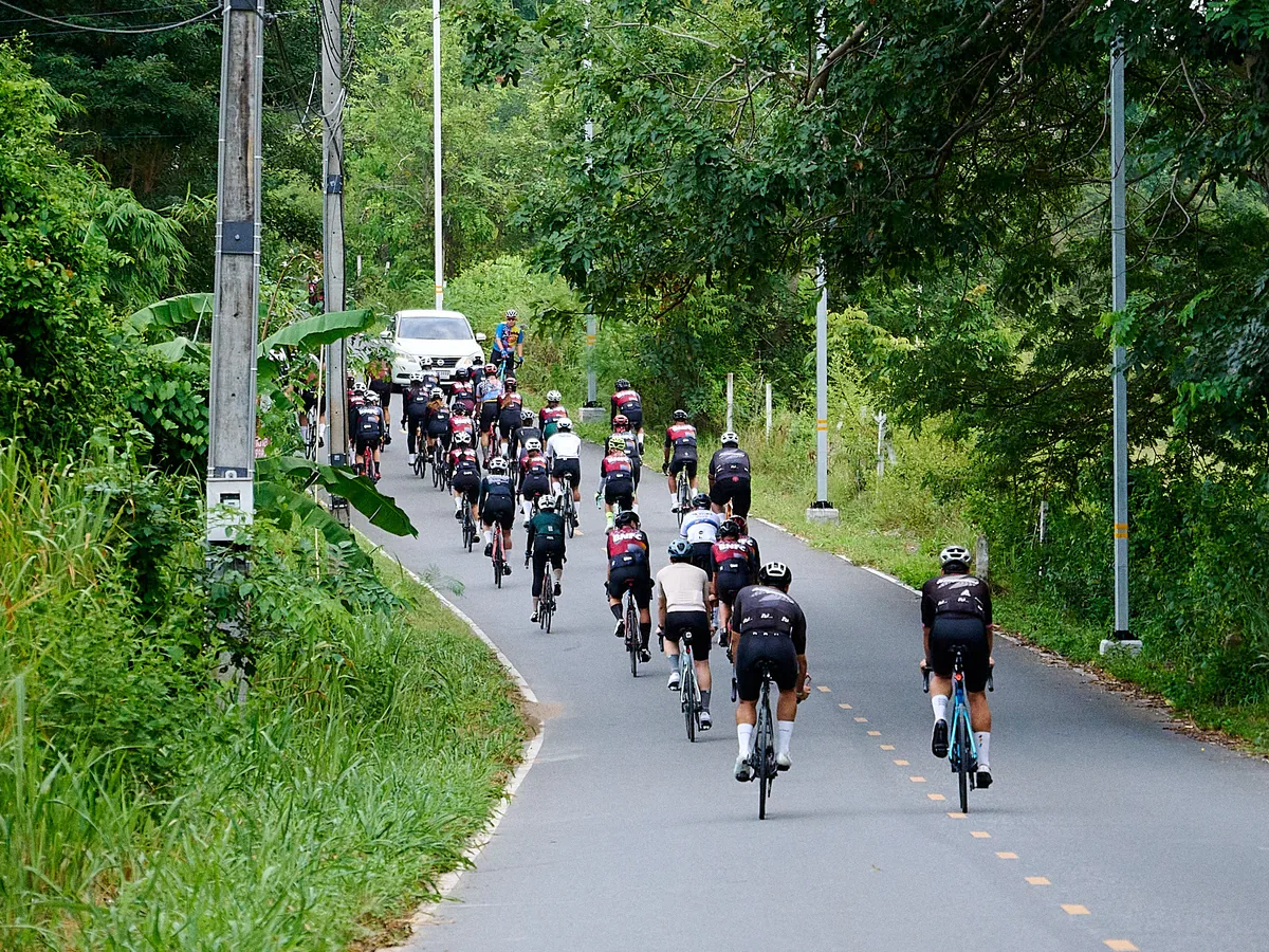 A cycling club riding together along a quiet tree-lined road